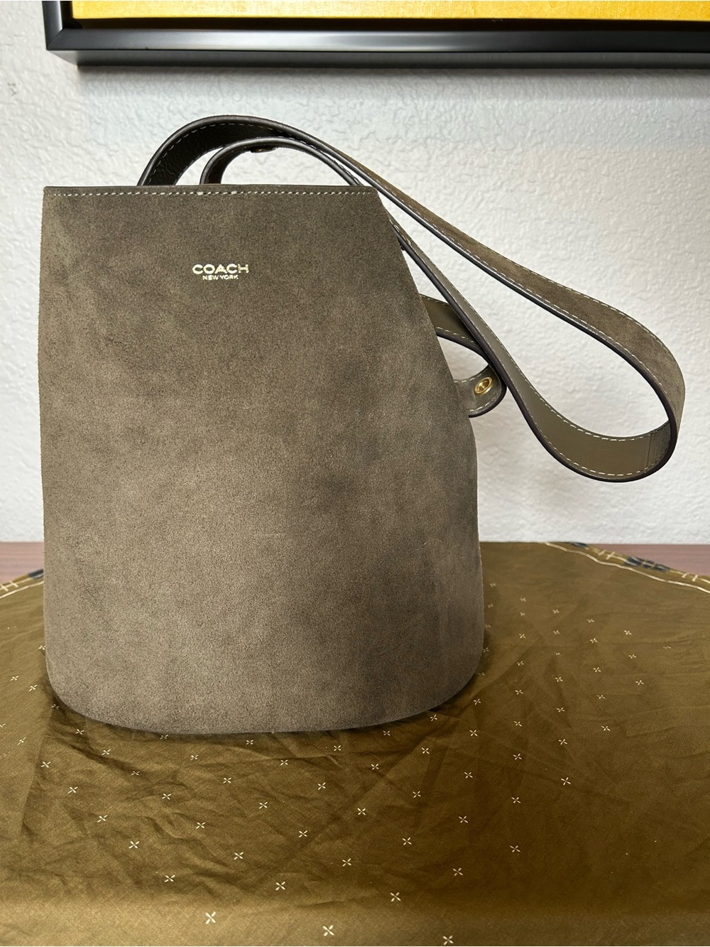 Coach Olive Suede Bleeker Bucket Shoulder Bag